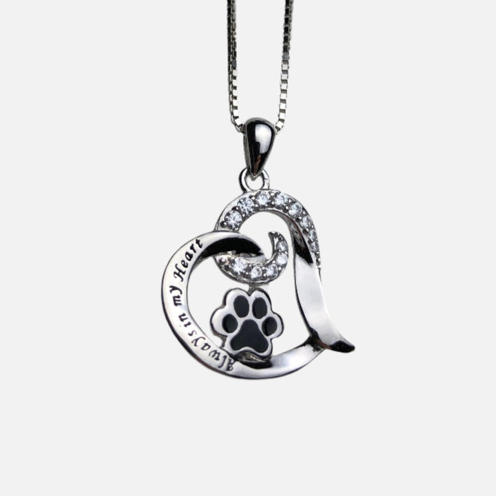 Collana Memoriale per Cani Elegante – Acciaio Inossidabile