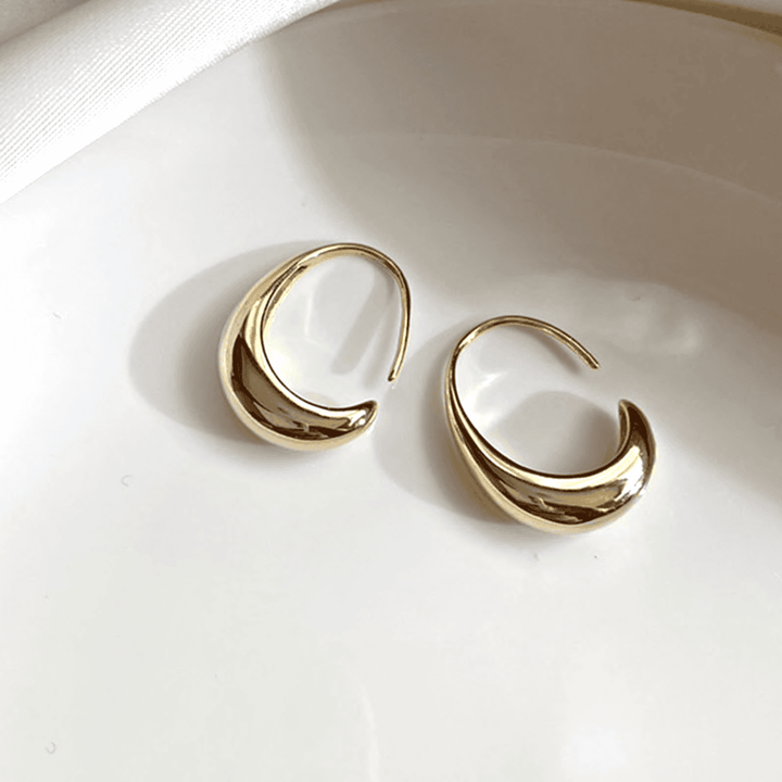 Orecchini a Cerchio Ovali color oro e color argento